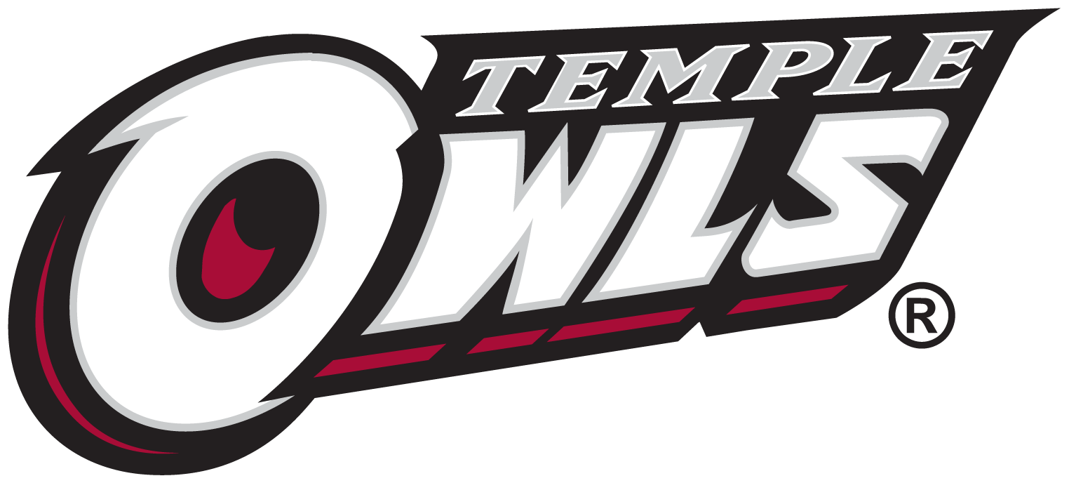 Temple Owls 1996-Pres Wordmark Logo v3 DIY iron on transfer (heat transfer)